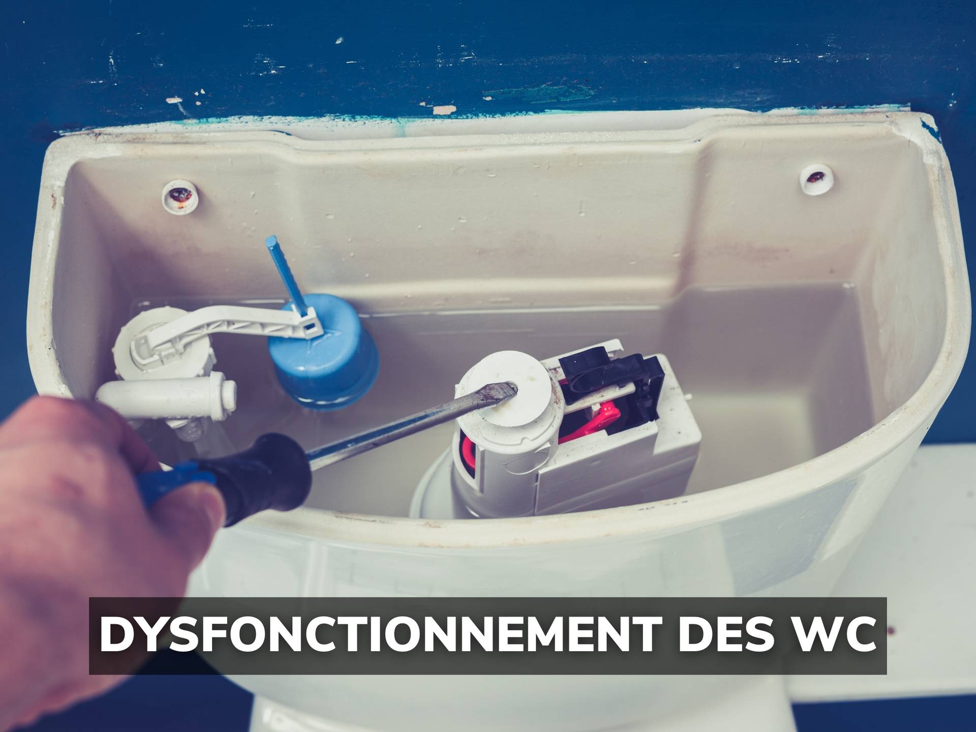 Ce qu'il faut savoir sur le flotteur WC