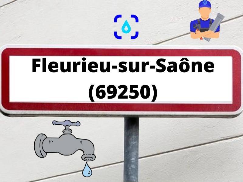 Fleurieu-sur-Saône (69250)