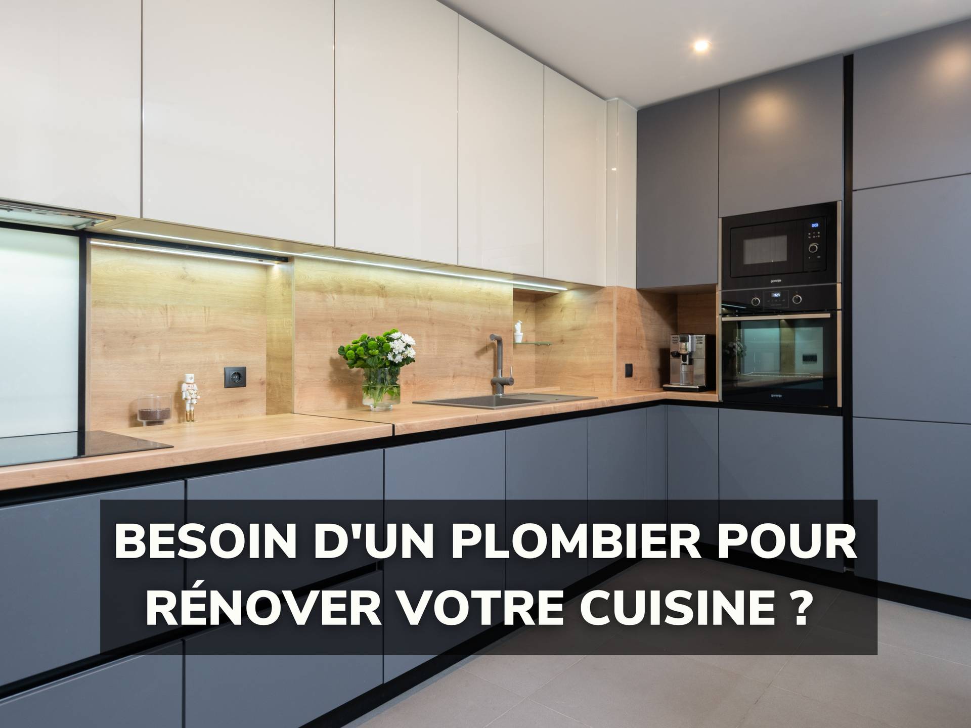 Meuble cuisine (plomberie sous jacente, meuble basique, investissement locatif)