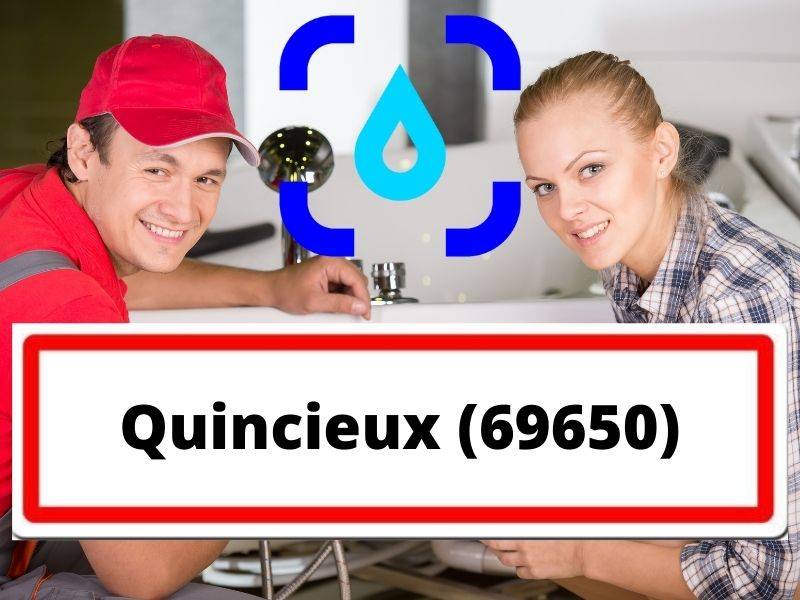 Quincieux (69650)