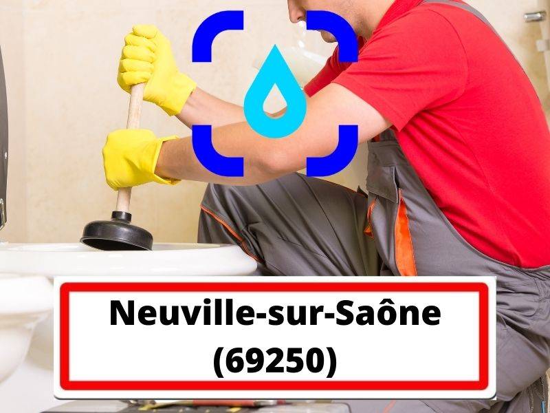 Neuville-sur-Saône (69250)