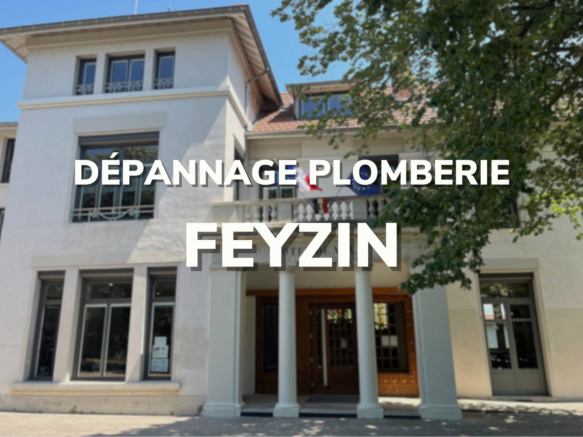Feyzin (69320)