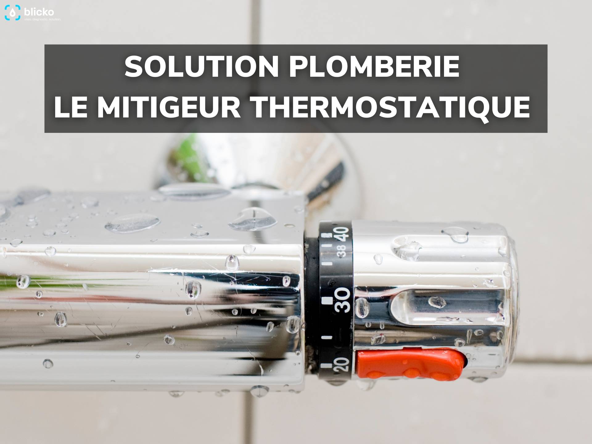 Mitigeur Thermostatique